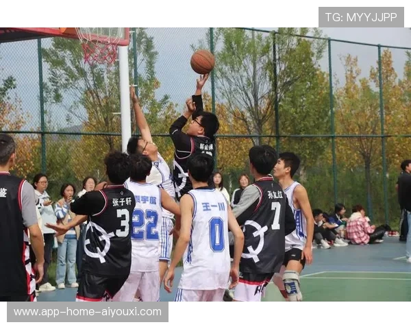 联赛推广：联盟推出校园篮球公益推广活动成效评估，篮球公益活动主题