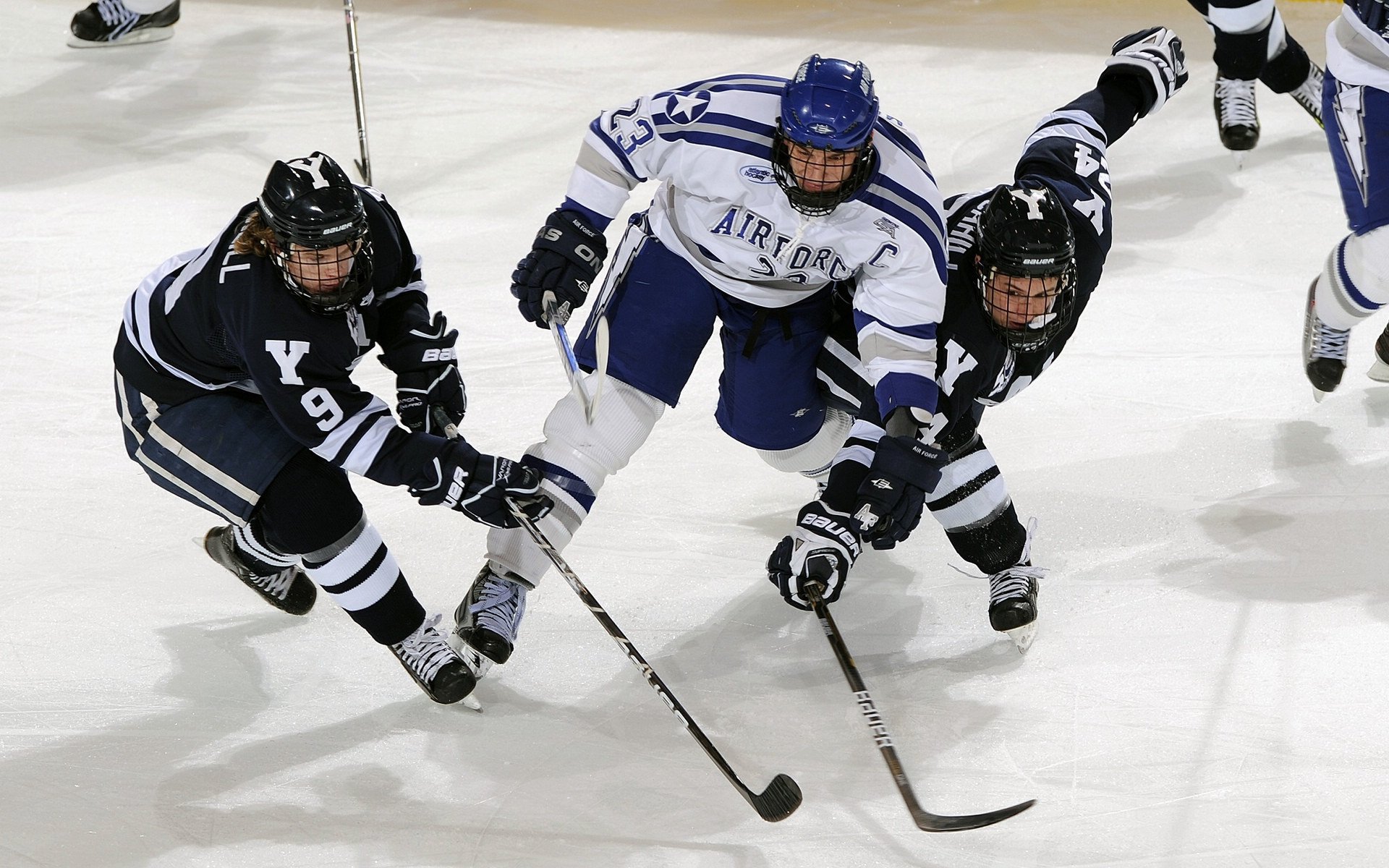 综合体育系综合对抗赛开赛 田径球类项目同日打响